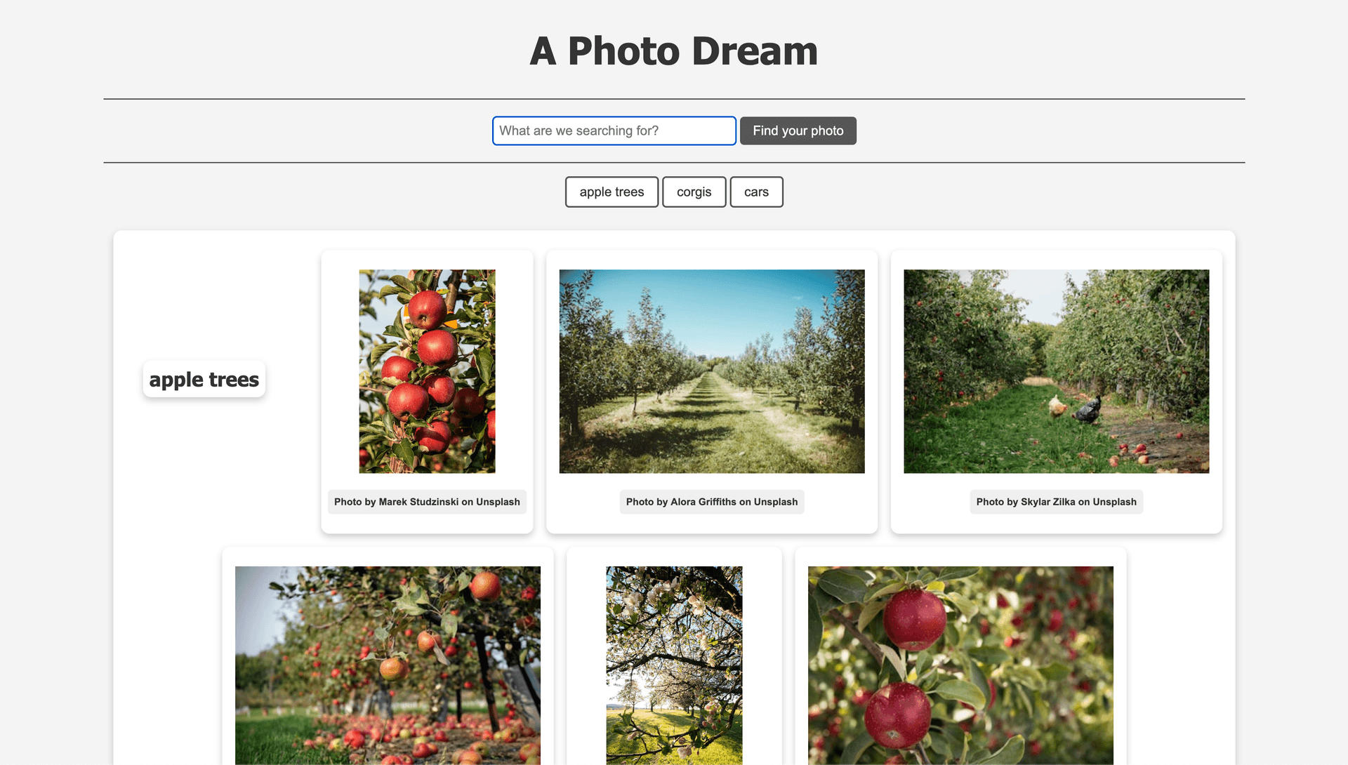 Multiple screenshots of the Clients & Contacts project in a grid